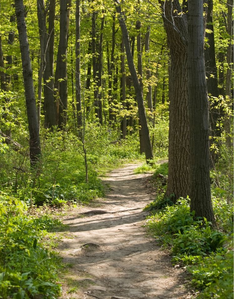 Familieopstellingen tilburg