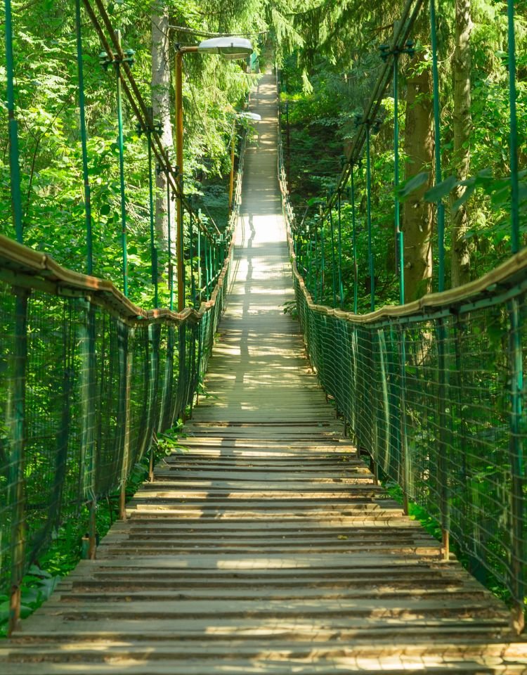 Pad over brug in natuur als metafoor voor persoonlijke ontwikkeling en coaching in Tilburg
